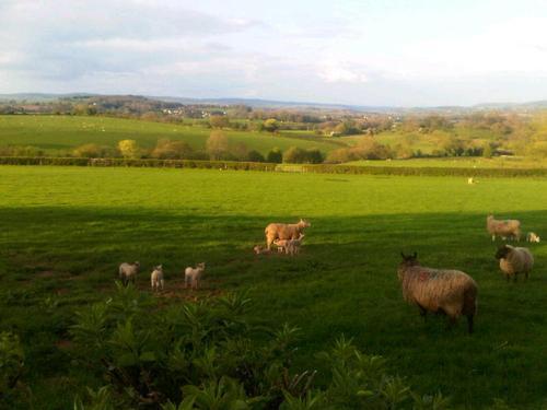 The Draen Bed And Breakfast Brecon Bagian luar foto