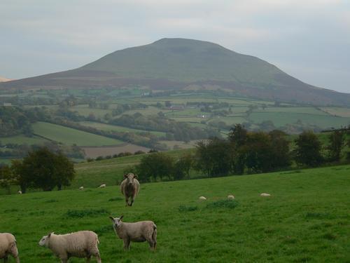 The Draen Bed And Breakfast Brecon Bagian luar foto